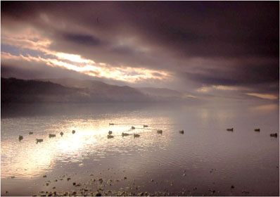 Mist on Bala lake by Andrew McCartney.