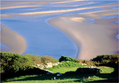Dovey Estuary by Andrew McCartney.