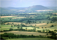 The Stretton Hills from Wenlock Edge
