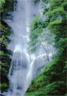 Pistyll Rhaeadr Waterfall Powys