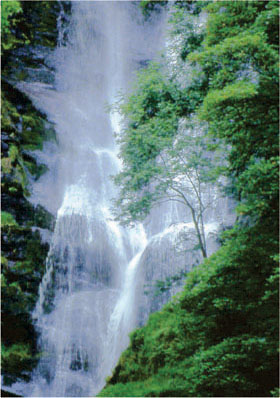 Pistyll Rhaeadr Waterfall Powys by Andrew McCartney.
